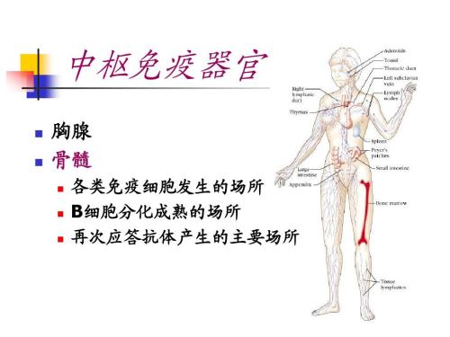 国自然发布2019组织器官区域免疫特性与疾病重大